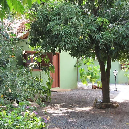 Eco Pousada Villa Verde-3